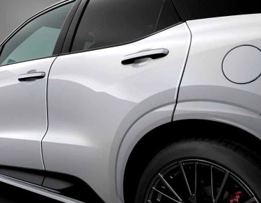 Genuine Lexus Japan 2024-2025 LBX Factory Painted Door Edge Protector Set