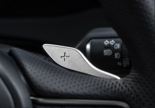Genuine Lexus Japan 2019-2024 UX F-Sport Punching Leather