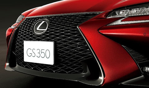 Genuine Lexus Japan 2020 GS F-Sport Eternal Touring Edition Radiator Mesh Grille Kit