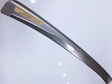 Genuine Lexus Europe 2015-2018 RC Rear Bumper Protection Plate