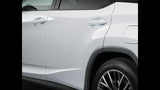 Genuine Lexus Japan 2020-2022 RX/RX-L Factory Painted Door Edge Protector Set  (SET OF 4)