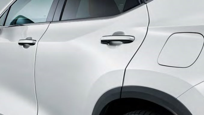 LEXUS様 Genuine Lexus Japan 2022-2025 NX Factory Painted Door Edge