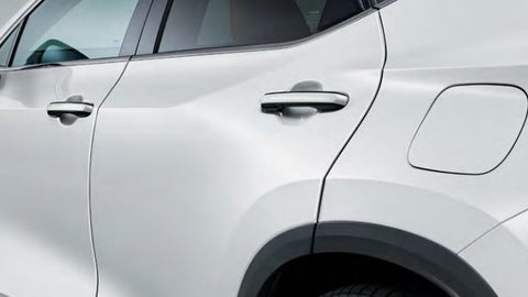 Genuine Lexus Japan 2022-2024 NX Factory Painted Door Edge Protector Set